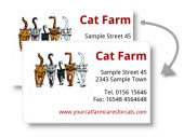 Business Cards with graphic / doublesided - Foto and Graphic upload 
