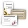 Business Cards without Graphic / doublesided - different Background colour